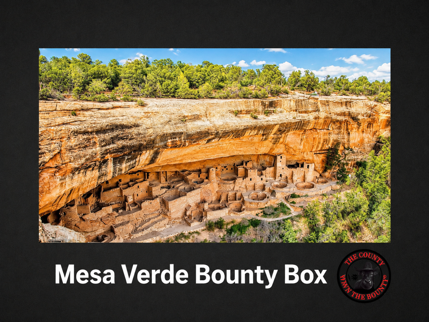 Mesa Verde Bounty Box - Steaks, Pork Chops, Ground Beef