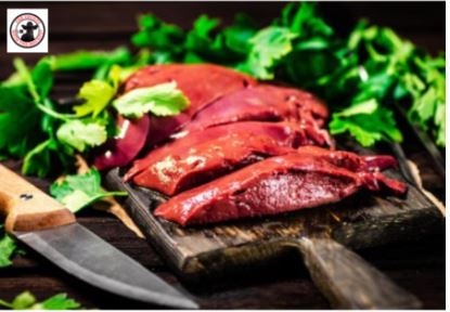 Liver